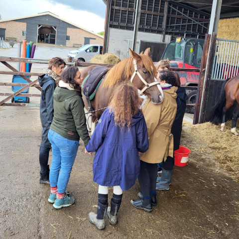 Team en paard, een eenheid...